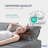THREAD SPREAD 100% Egyptian Cotton Sheets Queen Size - Luxury 1500 Series Queen Sheet Set Egyptian Cotton (4 PC, Dark Grey), Silky Soft, Sateen Weave, Cooling & Breathable, 17" Deep Pocket Bed Set