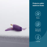 LUCID Encasement Mattress Protector - Completely Surrounds Mattress for Waterproof Protection, White, King