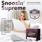 TEXAS LINEN CO. 100% Egyptian Cotton Sheets Queen Size - Snoozin' Supreme Collection 2000 Series Luxury Queen Bed Sheet Set, Cooling Sateen Weave, 17” Extra Deep Pocket Hotel Sheets (4 Pc, Light Grey)