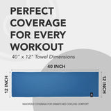 desired body Microfiber Cooling Towels for Neck and Face - 4 Pack 40x12” Mesh Quick Dry Gym Towels for Working Out with Waterproof Bag and Carabiner - Sweat Rag for Gym, Sports, Outdoor Activities