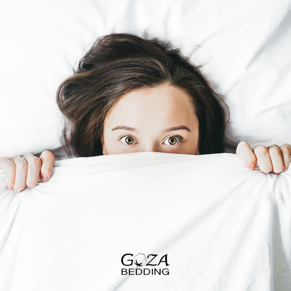 how to protect yourself from bed bugs 