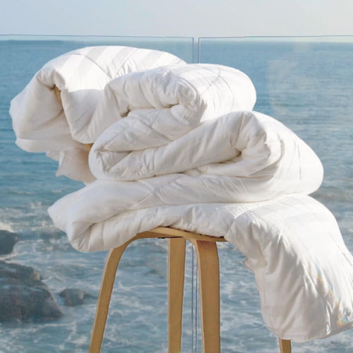 Cariloha Mid-Loft Duvet Insert - All-Season Comfort - White - Full/Queen