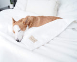 Peacock Alley All Seasons Luxury Cotton Blanket – 100% Long Staple Cozy Cotton Blanket for Sofa, Bed, and Crib - King, California King, White