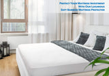 PlushDeluxe Bamboo Waterproof Mattress Protector, Queen Size, Ultra Soft
